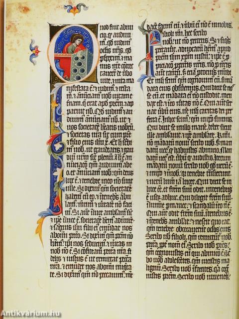 A Nekcsei-Biblia legszebb lapjai