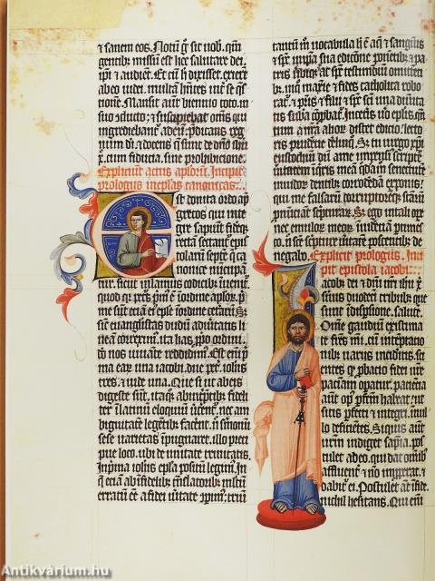 A Nekcsei-Biblia legszebb lapjai