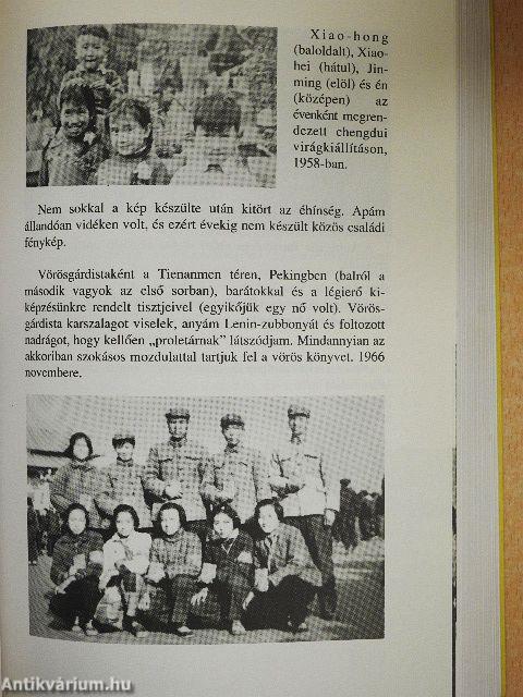 Vadhattyúk