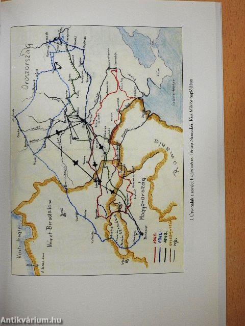 Naplók és memoárok a Don-kanyarból