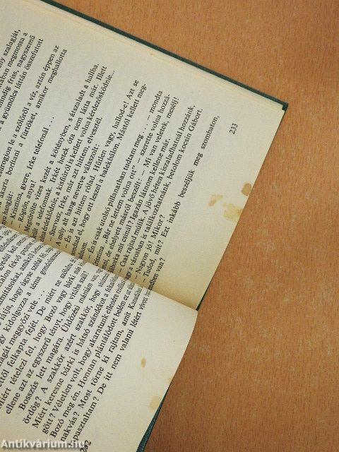 Egyszer-volt szerelem