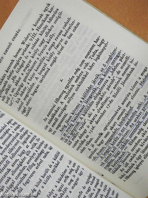 Magyar politika a Mohácsi vész után