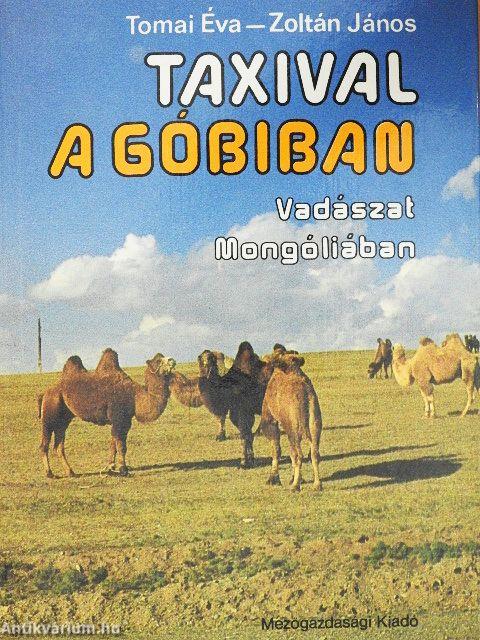 Taxival a Góbiban