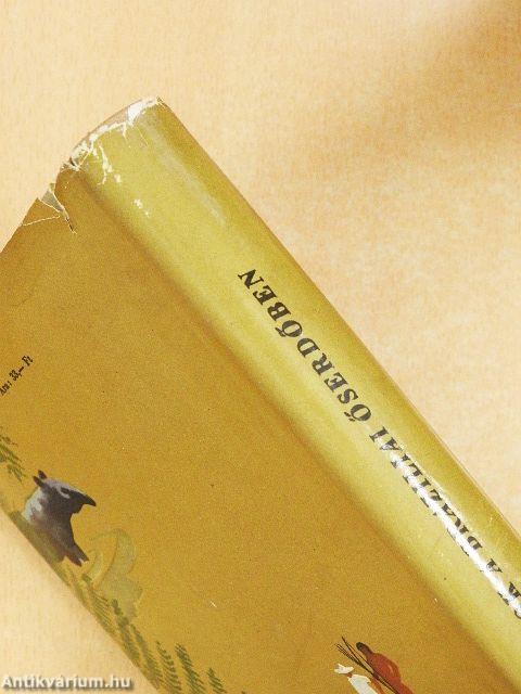 Kalandok a brazíliai őserdőben