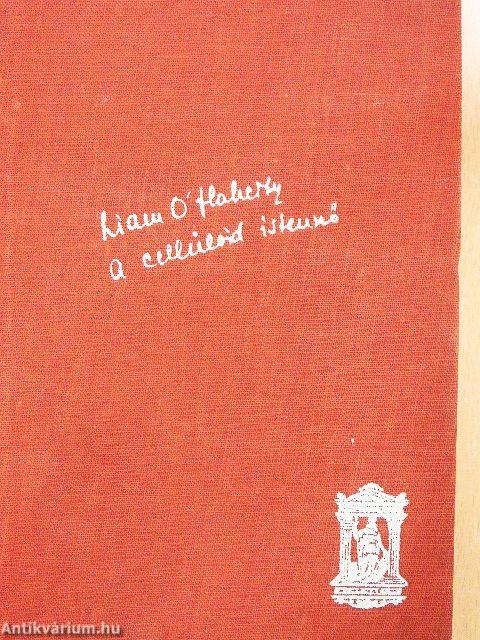 A Celluloid-istennő