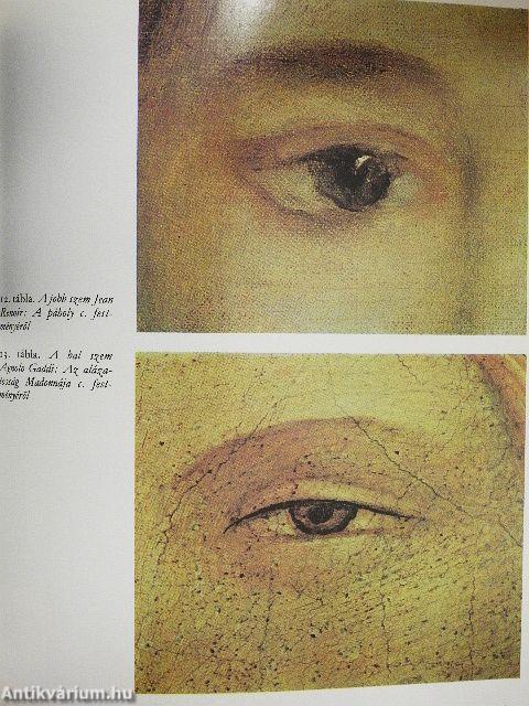 Illúzió a természetben és a művészetben