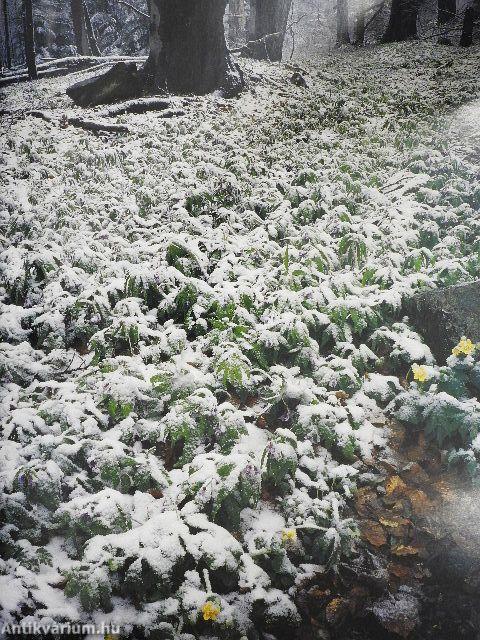 Karszt - Rozsnyó és környéke