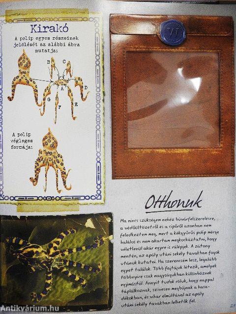 Egy kutató naplója - Tengeri állatok