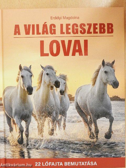A világ legszebb lovai