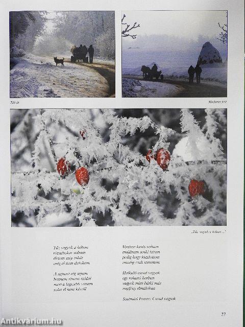 Erdély-Székelyföld - Marosszéki-Mezőség