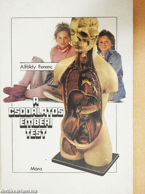 A csodálatos emberi test