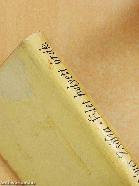 Élet helyett órák