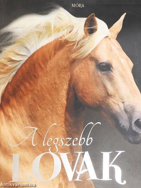 A legszebb lovak