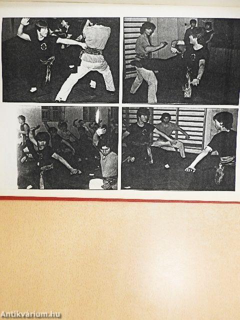 A koncentrált erő gyémántökle és a "tízezer-csillanású gyémántösvény" kapufelirata