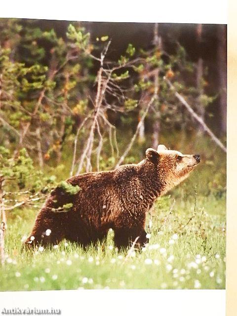 A világ legszebb nemzeti parkjai