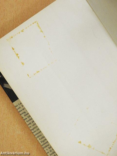 Albérlet a Síp utcában