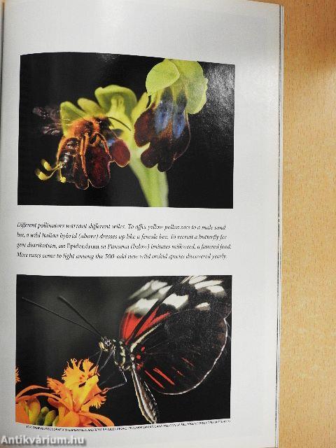 National Geographic September 2009