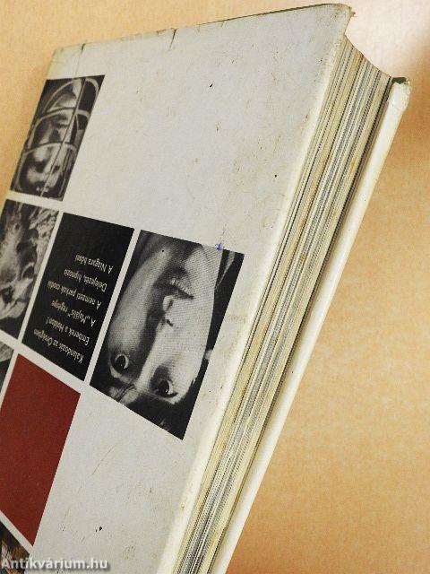 Fiúk Évkönyve 1970