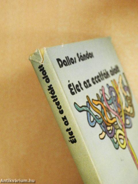 Élet az ecetfák alatt