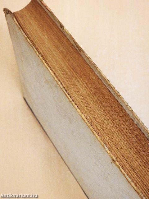 Egy magyar diák élete Mátyás király korában