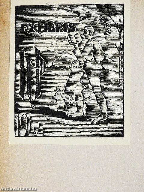 Egy magyar diák élete Mátyás király korában