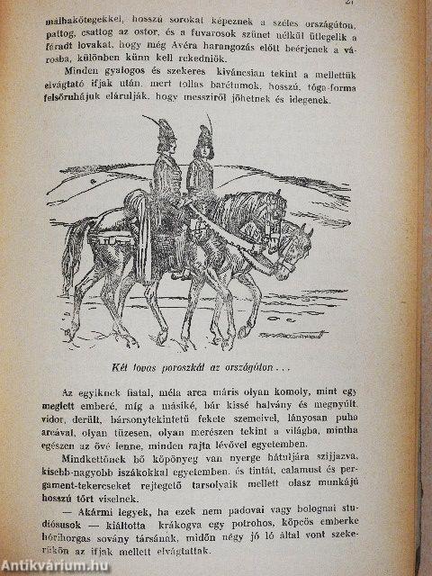 Egy magyar diák élete Mátyás király korában