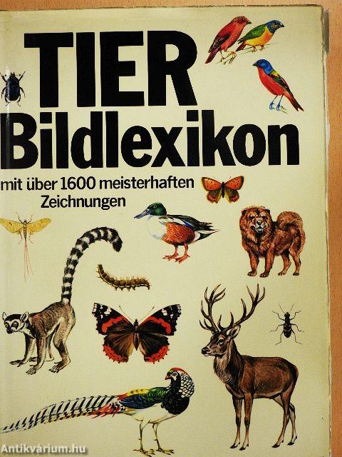 Tier-Bildlexikon