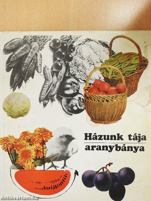 Házunk tája - aranybánya