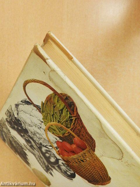 Házunk tája - aranybánya