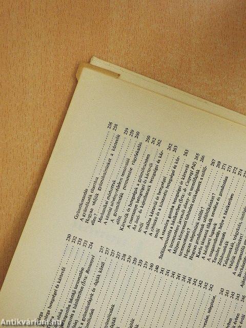 Házunk tája - aranybánya