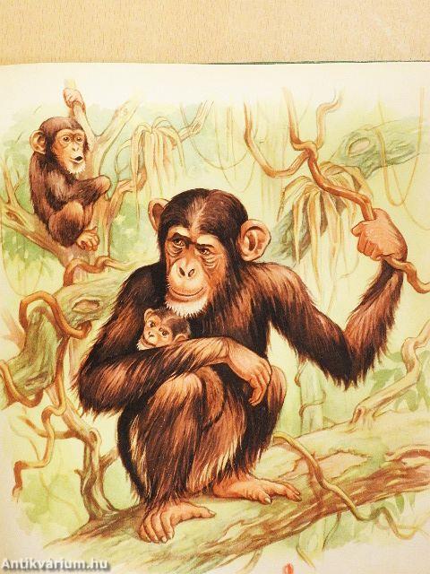 Anya és gyermeke az állatvilágban