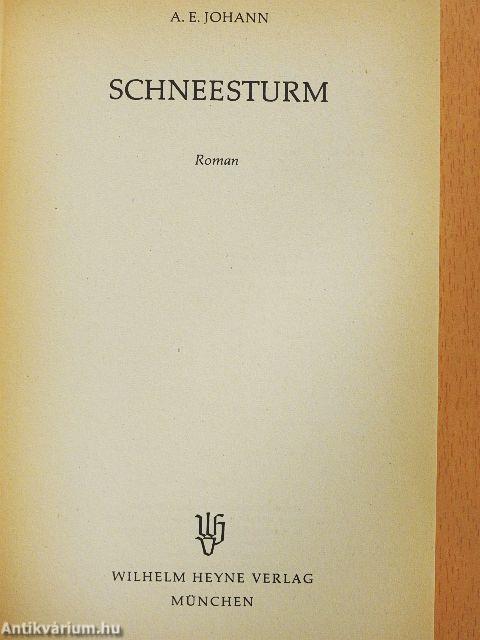 Schneesturm