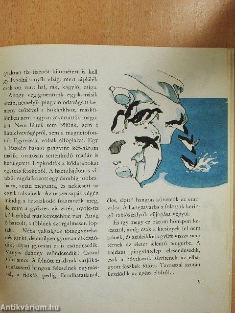 Amiről a jégvilág mesél