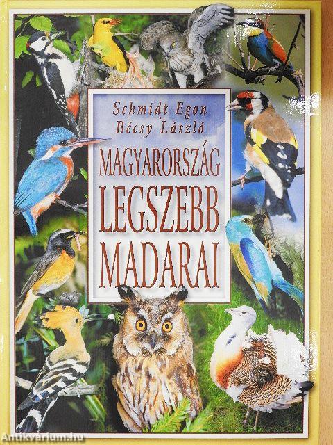 Magyarország legszebb madarai