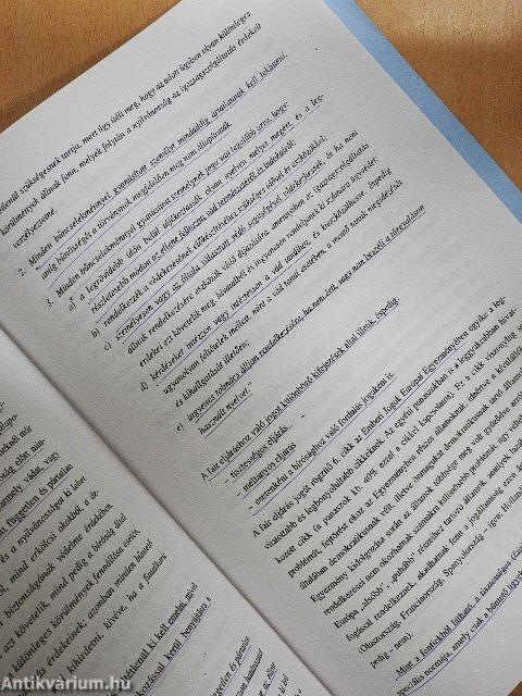 Az emberi jogok nemzetközi védelme