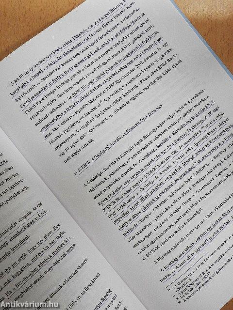 Az emberi jogok nemzetközi védelme