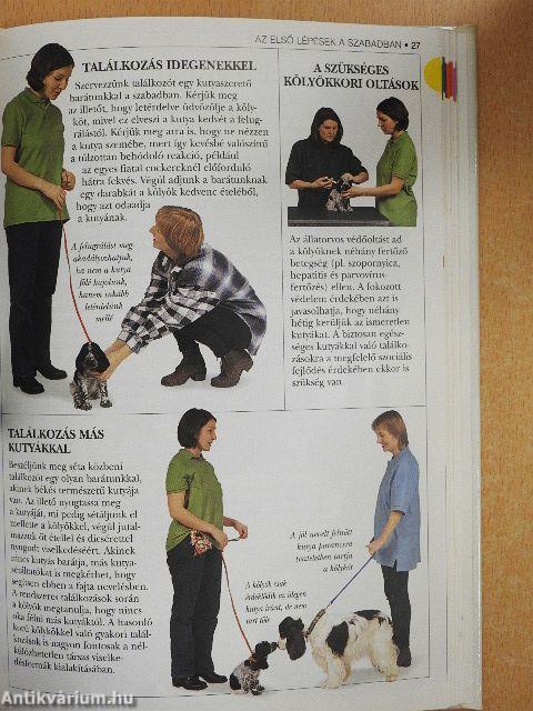 A cocker spániel