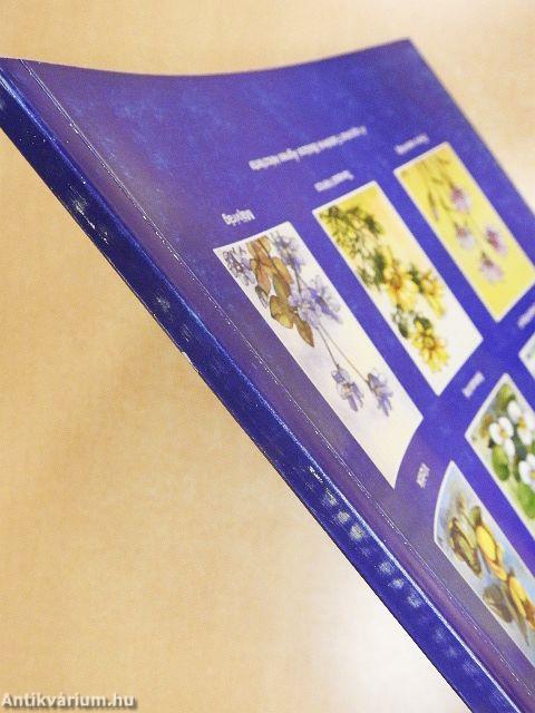 Természetkutató és Környezetvédő tanulói munkafüzet I.