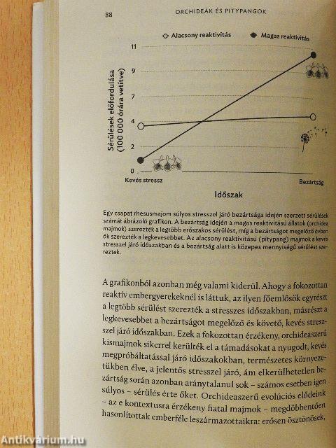 Orchideák és pitypangok