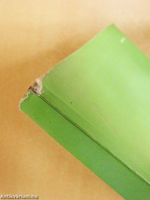 Magasépítéstan I.