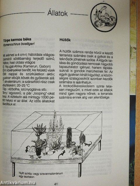 A terrárium