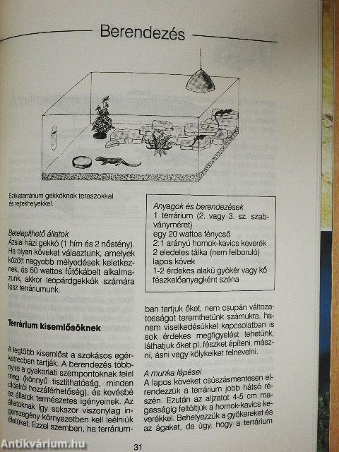 A terrárium