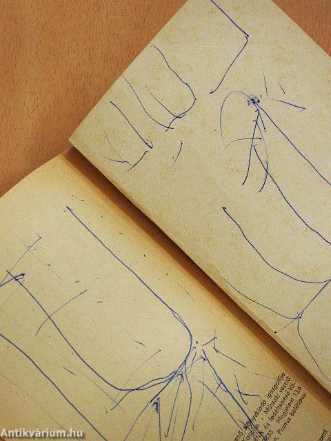 A szürke flanellköpeny