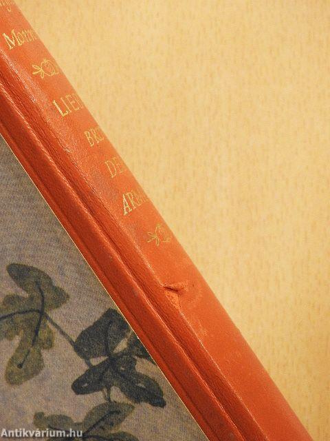 Liebe - Brot der Armen