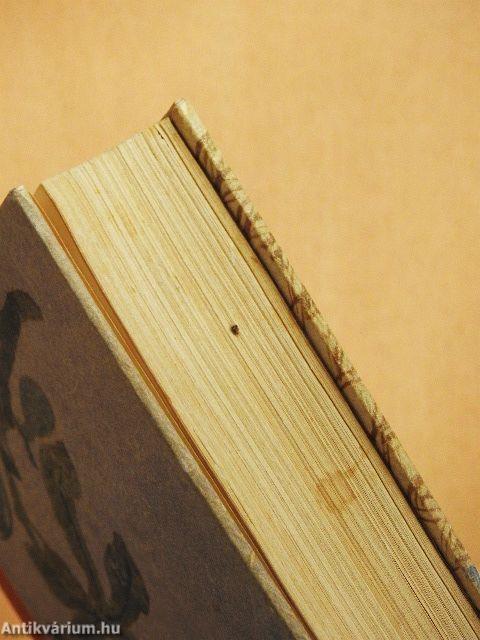 Liebe - Brot der Armen