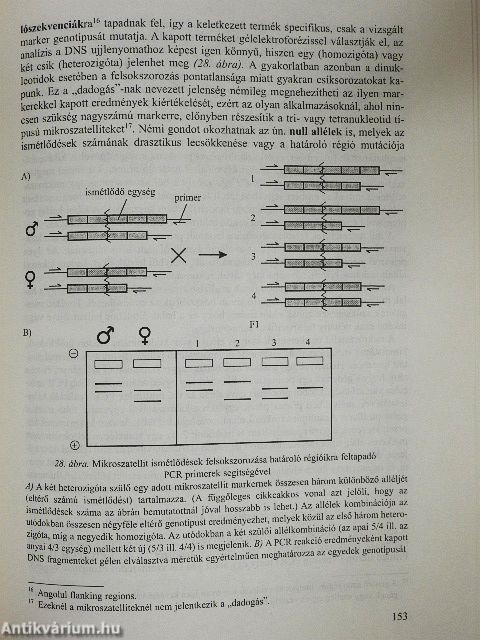 Halbiológia és haltenyésztés