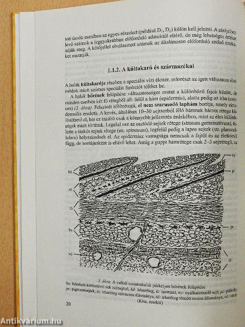 Halbiológia és haltenyésztés