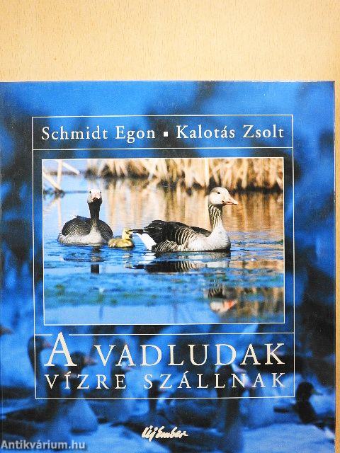 A vadludak vízre szállnak