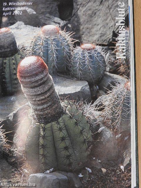 Debreceni pozsgástár 2004. 1-4./Magyar Pozsgásgyűjtők Közhasznú Egyesülete Maglistája 2005./MKOE Közlemények 2005/1./MKOE Magjegyzék 2005. február/Kaktusblüte April 2000/April 2001/April 2002/April 2003/April 2004