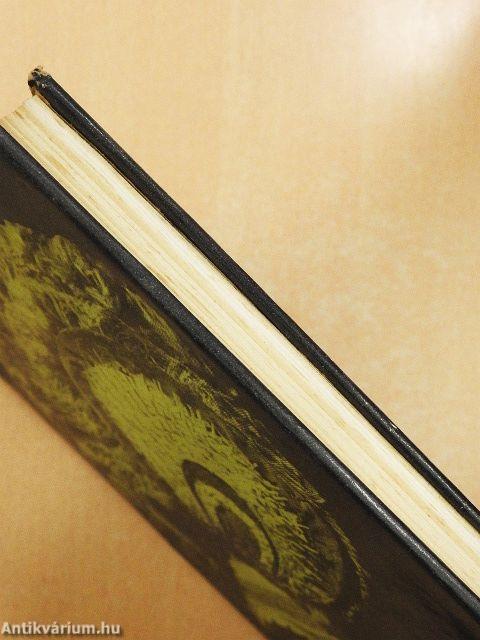 A Szilágyságtól Új-Guineáig